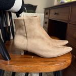 Tahari Booties Photo 0