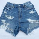 American Eagle Jean Shorts Photo 0