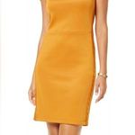 Thalia Sodi  Womens Gold Off Shoulder Short Cocktail Body Con Dress XL Photo 0