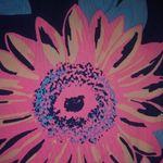 Aerie  M Navy Pink Flower Hipster Bikini Bottom Photo 3