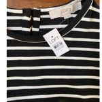 Loft  Striped Ottoman Mock Neck Dress Long Sleeve Mini Ribbed Material NWT - S Photo 5