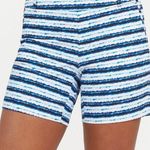 Spanx Sunshine Shorts, 6" Blue Painted Stripe XLarge NWT Photo 0