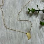 Indiana dainty pendant gold tone Necklace Photo 1
