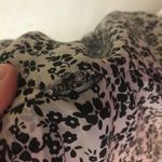 Trixxi Beautiful Semi-Sheer Top Photo 3