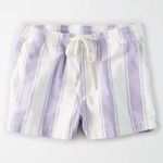 American Eagle NWOT  OUTFITTERS PURPLE WHITE STRIPED DRAWSTRING PULL ON Shorts Photo 0