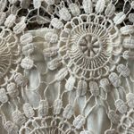 Blue Island Lace Skirt Photo 2