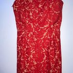 Red Dress Boutique Tobi Dress  Photo 2