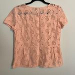Loft S Women's Peachy Pink Lace Peplum Back Embroidered Short Sleeve Blouse NWT Photo 5