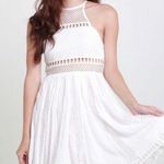 Hello Molly NWT Angel Biba Anya Skater Dress Photo 0