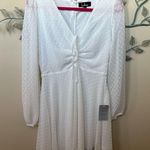 Lulus Lulu’s Wine & Dine white Swiss Dot Skater Dress Medium NWT Photo 1