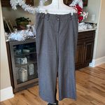 Brown Wide Leg Dress Pants Madison Petite Alexandra Fit Size 8P Photo 1