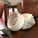 Vintage Bangle Bracelet Retro 80s Cream White Photo 0