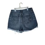 American Eagle Curvy Mom Shorts Size 10 Photo 3