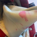 Kipling  Deep Red Tote Bag Photo 5