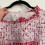 J. Marie Women’s The Andy Ruffle Neck Dress in Gingham Red White Large Photo 3