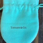 Tiffany & Co. Turquoise Jewelry Pouch Photo 4