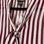 Cotton Express  womens size 1X long sleeve striped sheer maroon ivory blouse NWT Photo 0