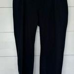 Eileen Fisher  Petites Medium Black Dress Pants Ankle Photo 0