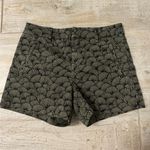 Level 99 High Photo 0