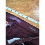 Gloria Vanderbilt Women's Jeans |  | Size 6 Photo 2