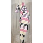 Champion Urban Outfitters Cotton Blend Crop Stripe Sweatshirt Hoodie Size XL NWT Photo 3