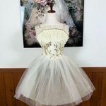 Fabulous Curtain Call Dance Costume! Gold Photo 0