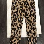 Nasty Gal So Fierce Leopard Pants 6 Dopamine Animal Print Mobwife Bratz Casua Photo 1