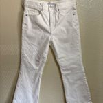 Loft  Women's Wide Leg Cropped Jeans Photo 0