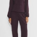 Aritzia sweat fleece sweatpants Photo 0