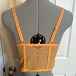 No Boundaries  Juniors Lace & Dot Mesh Bustier, Large Photo 2