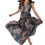 Bishop and Young Lala Party Dress, Size Small, New with Tag MSRP $170 Photo 8