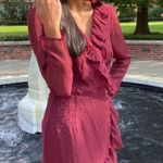 Showpo Maroon Long Sleeve Dress Photo 0