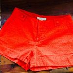 Banana Republic Eyelet Ryan Shorts Photo 0