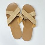 J.Crew  Women’s Flat Sandals Size 9 Photo 3