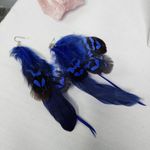 Boho Long Royal Blue Real Feather Earrings Photo 0