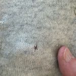 Brunello Cucinelli Cashmere Long Lightweight Cardigan. Size Small. Photo 5