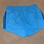 Aviator Nation Shorts Photo 2
