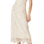 Shoshanna  Ivory Gold Sleeveless Floral Lace Midi Cocktail Dress Size 10 Photo 0