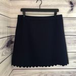 Banana Republic Navy Scalloped A-Line Skirt Photo 0