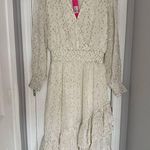 Lilly Pulitzer  Christiana midi dress coconut viscose metallic clip size 12 Photo 2