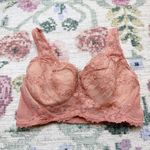 Victoria's Secret Womens Bustier Size 34DD Fairy Floral Lace Semi Sheer Photo 1