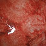 Reel Legends Aquaflauge S Fishing Orange Rash Guard Top Photo 1