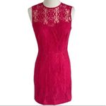CeCe  by Cynthia Steffe Hayden Deco-Lace Pink Bodycon Dress Size 4 Photo 12