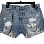 Pistola Distressed Cut Off Denim Jean Shorts Womens 27 Asher Blue Mid Rise Rigid Photo 0