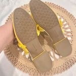 Birdies  The Ani Marigold Yellow Fringe Suede Mule Slides Size 10.5 Photo 5