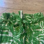 Mango Palm Tree Shorts Photo 1