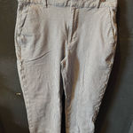 Gap Women’s Blue and White Striped Slim Ankle Work Pants Size 4 Photo 0