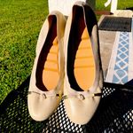 Kelly & Katie  Perri Metallic Leather Ballet Flats Size 9.5 M Photo 1