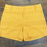 Ann Taylor  LOFT Riviera Shorts SIZE 0 Gold Eyelet 4" Inseam Flat Chino NEW Photo 0