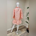 Tuckernuck Bellini Fil Coupe Palmerston Dress S NWT Pink Ruffle Party Photo 5